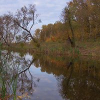Остановилось время над рекою, застывший лес купается в воде. :: Инна Щелокова