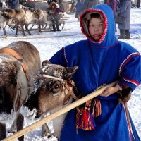 Водитель упряжки.. :: Леонид Балатский