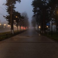 Только туман и фонари. :: Анатолий. Chesnavik.