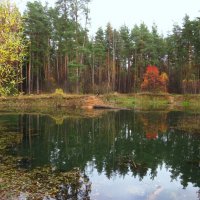 Озеро в лесу :: Андрей Снегерёв