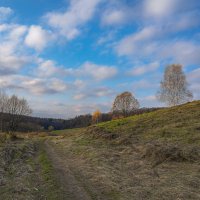 Поздняя осень... :: Владимир Жданов