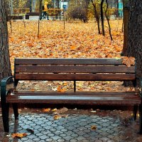 Осенний парк, промокшая скамейка. :: Татьяна Помогалова