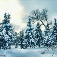 Начало зимы :: Виктор Марченко