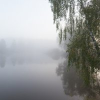 Туман как молоко... :: Владимир Безбородов