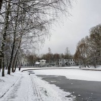 тонкий лёд на пруду :: Валентина. .