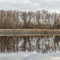 Ноябрьское отражение. :: Анатолий. Chesnavik.