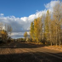 Осенняя картинка :: Александр 