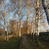 Осень в парке :: Galina Solovova