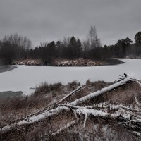Зима :: Роман Грушевский