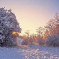 Холодное утро,тёплый рассвет. :: Евгений Воропинов