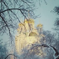 Утренняя снежность.. :: Tatiana Markova