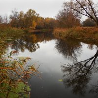 речной пейзаж :: Александр Борисович