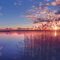 Zachód słońca nad jeziorem :: Janusz Wrzesień