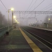 Ожидание в тумане. :: Лия ☼