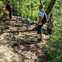 Дорога к водопаду на Кынгырге :: Любовь Чунарёва