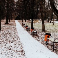 первый день зимы в парке :: Любовь 