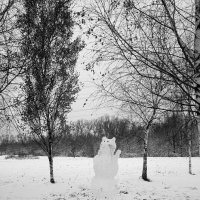 Снегокот ... :: Лариса Корженевская
