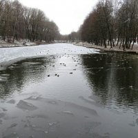 Замерзающий пруд в городском парке. :: Милешкин Владимир Алексеевич 