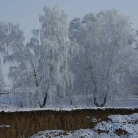 Художества первого дня зимы. :: сергей 