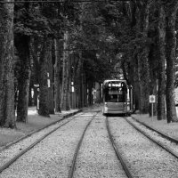 Брюссельский трамвай... :: Elena Ророva