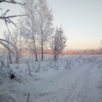 По лыжне :: Татьяна Лютаева