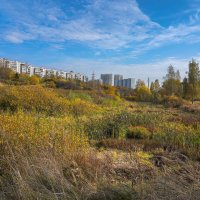 Московская осень... :: Владимир Жданов