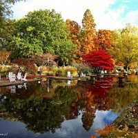 Planten un Blomen Hamburg :: Nina Yudicheva