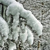 снег :: юрий иванов 