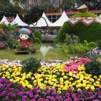 Гонконг "Парк Виктория" - цветочное шоу Hong Kong Flower Show Victoria Park :: wea *