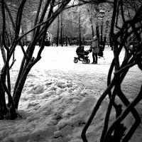 Зима в Новосибирске :: Елена Берсенёва