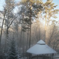 Морозный туман -20 Новосибирск. :: ОКСАНА ЮРЬЕВНА ШВЕЦ