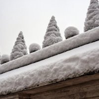Снежные ёлочки ... :: Дмитрий 