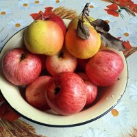Яблоки и груши :: Galina Solovova