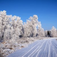 *** :: Володька Завитушкин