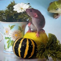 И мышка любит цветы :: Вера Щукина