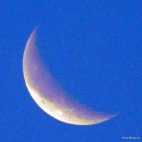 Убывающая луна на утреннем небе. :: Валерьян Запорожченко