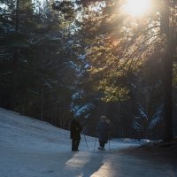 Бабушки на прогулке. :: Виктор Евстратов