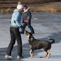 "Поиграем?" :: Владимир Безбородов