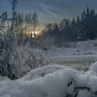 Морозное утро :: Artemij Volmarev