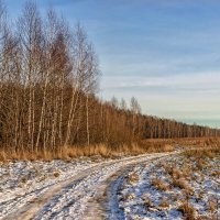 Декабрьскими дорогами. :: Анатолий. Chesnavik.