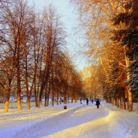 Улица осветилась закатным солнышком . :: Мила Бовкун