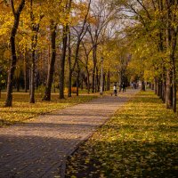 Осенний парк :: Елена Берсенёва