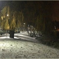 Первый снег. :: Валерия Комова