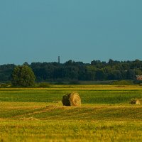 * :: Владимир Барышев