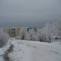 Почти зима :: Anna Ivanova