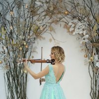 Скрипка :: Alesya Petrykina