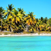 Остров Саона :: Сальвадор Мелендес 