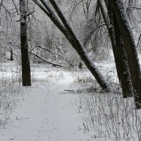 В парке городском зима. :: Милешкин Владимир Алексеевич 