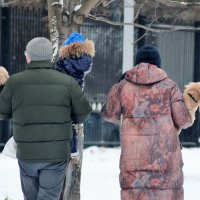 Всей семьёй на прогулке. :: Татьяна Помогалова