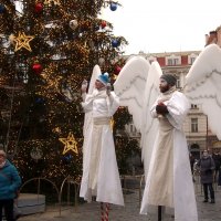 Рождественские ангелы :: Галина 